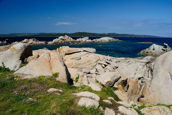 View Island Seagulls Coast — Foto de Stock