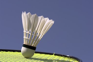 Badminton