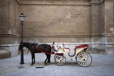 Katedral ve taşıma