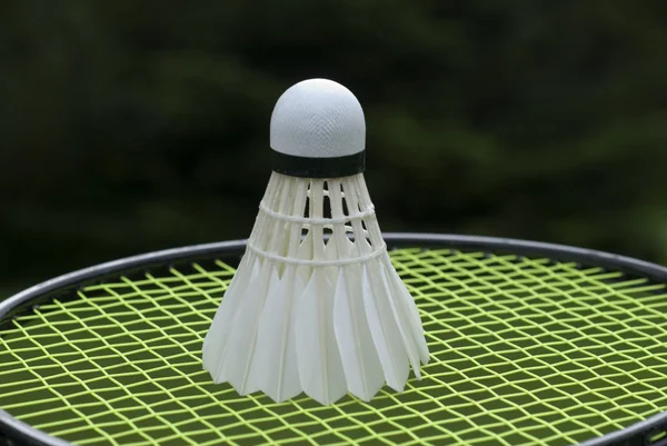 Prêt pour le badminton — Photo