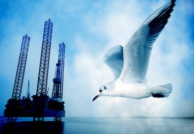 Seagull and oil rig clipart