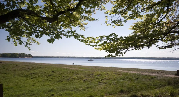 Springtime beach — Stock Photo, Image