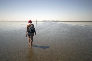 wadden Denizi Hiking