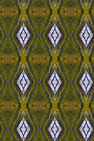 Autumn beech forest pattern — Stock Photo, Image