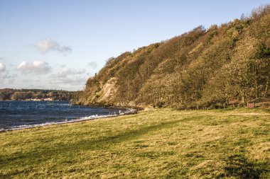 Danimarkalı kıyı şeridi