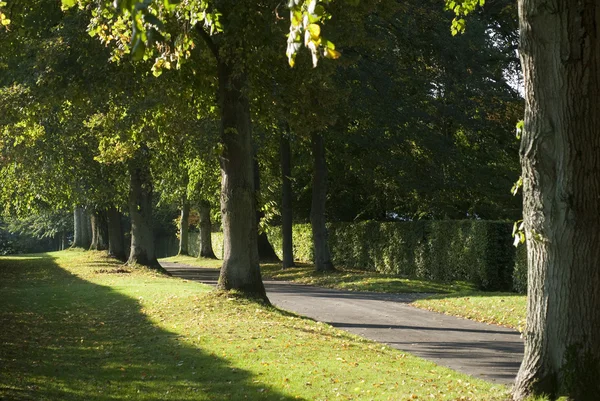 Sonbahar avenue — Stok fotoğraf