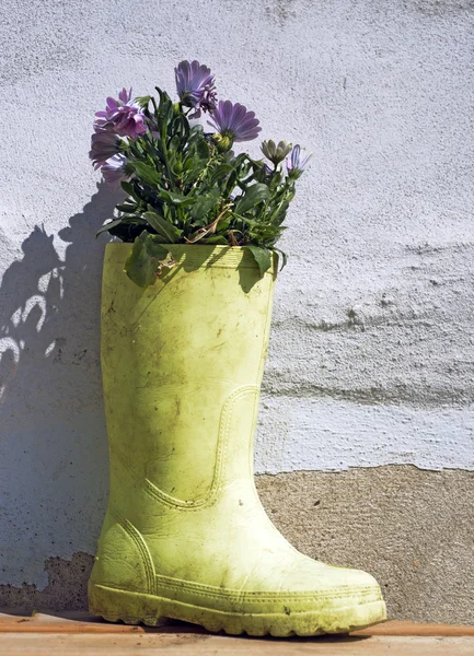 Boot och blommor — Stockfoto