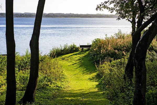 Grönt gräs till havet — Stockfoto