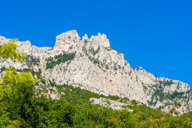 ai-petri aralığı görünümünü