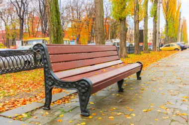 yağmur sonra güzel sonbahar parkta bankta