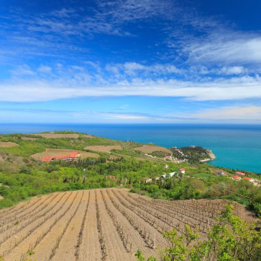 Vineyard and villages in coast. Crimea