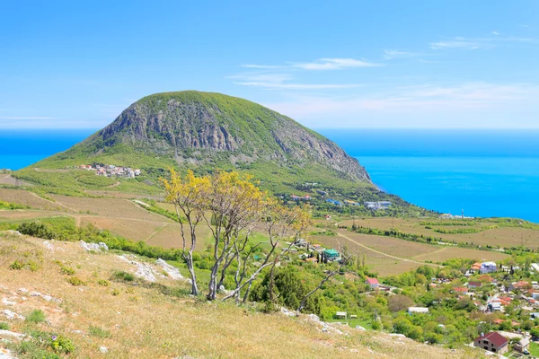 Bear Mountain (Au-Dag) vicino Hurzuf. Crimea — Foto Stock
