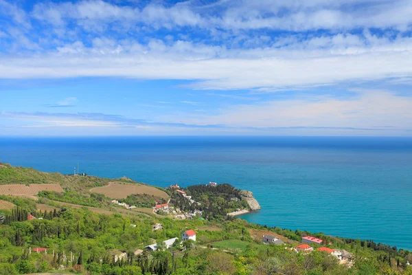 Vineyard and villages in coast. Crimea — Stock fotografie