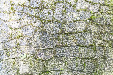 Taş el bagajı, yaşlılık Moss'la büyümüş dokusuna