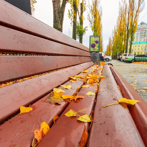 El otoño sale en un banco de madera en la ciudad. Lluvia. Caída. Kiev.Ukrainjalá — Foto de Stock