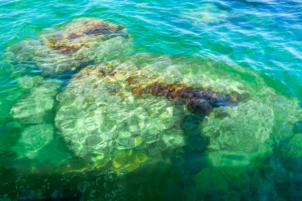 Stones in seawater — Stock Photo, Image