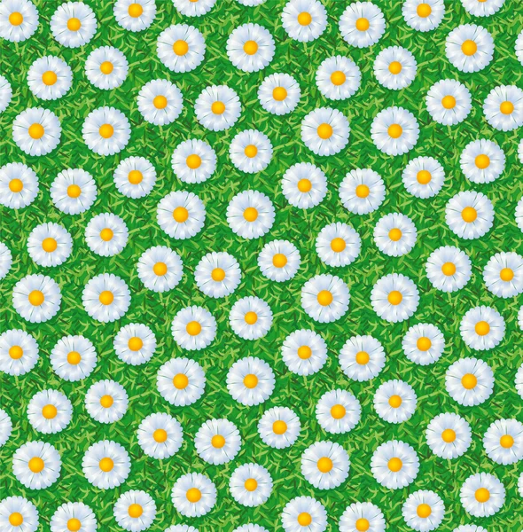 Pattern with flowers — Stock Vector