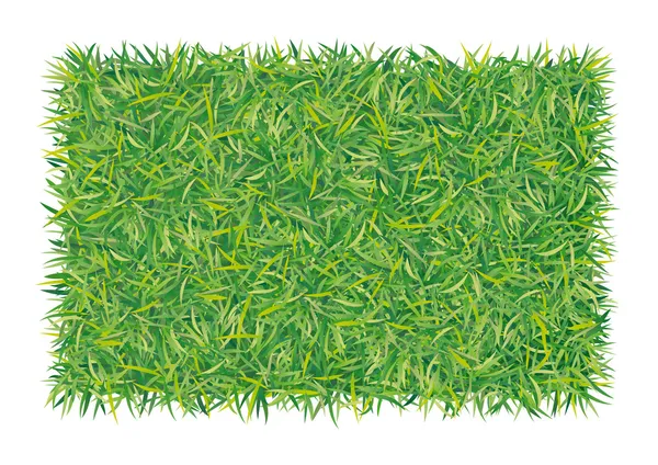 Rectangle d'herbe — Image vectorielle