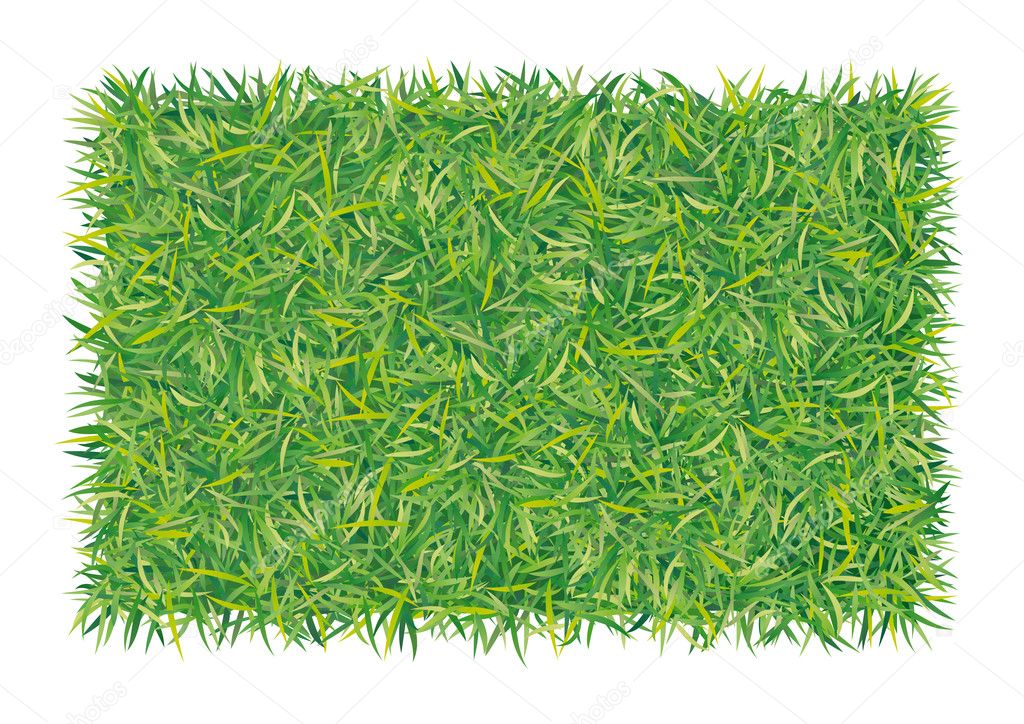 Rectangle of grass