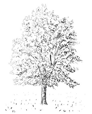 Ağaç