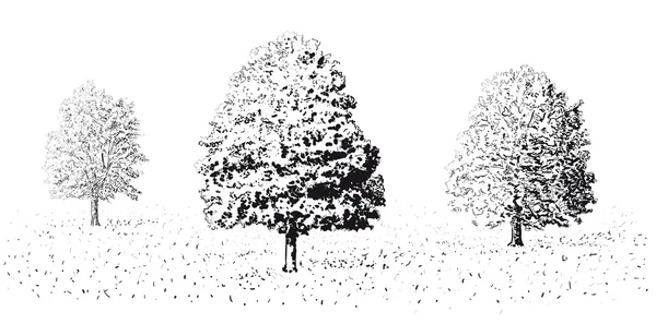 Árbol — Vector de stock