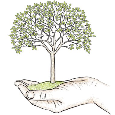 hand holding a tree clipart