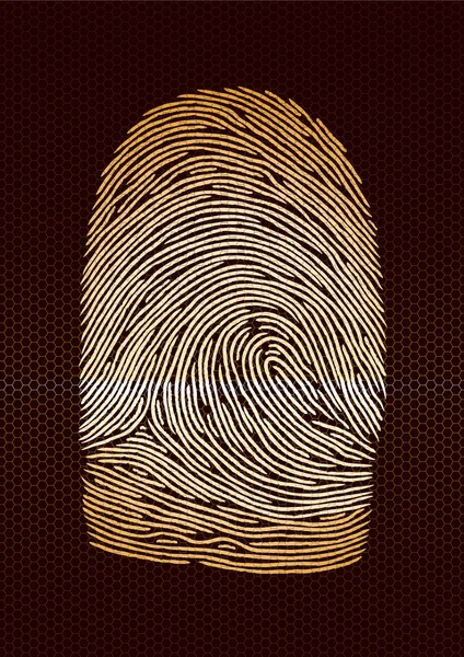 Fingerprint — Stock Vector