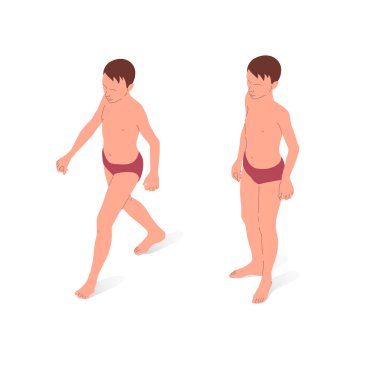 Young person, nude body anatomy. Isometric vector illustration of a standing person and a walking person.