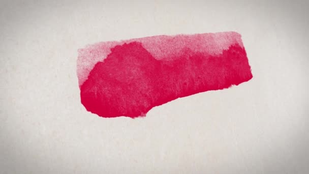 Flag Poland Watercolor Brush Strokes — Wideo stockowe