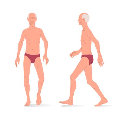 Old caucasian white man, full body of a man, front and side view. Isometric vector illustration.