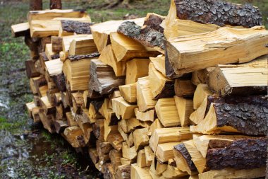 Yakacak odun yığını