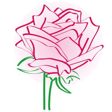 Gül çizimidelicada flor rosa