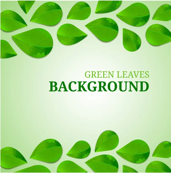 Green leaves abstract background. Vector illustration. — Stock Vector