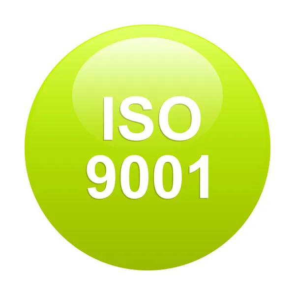 Bouton internet iso 9001 green — Stock Vector