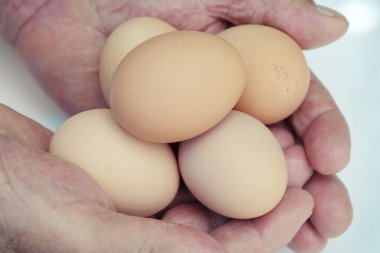 bir yandan tavuk yumurtası