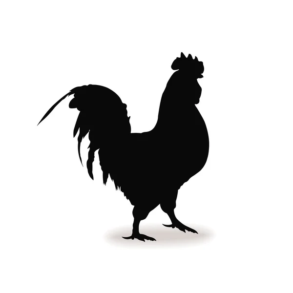 窗体轮廓的公鸡，鸡标志标志 — 图库矢量图片