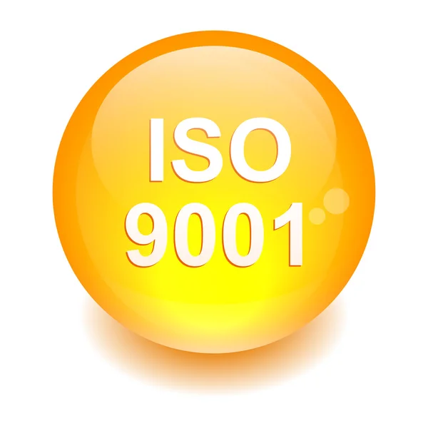 Bouton internet iso 9001 orange — Stock Vector
