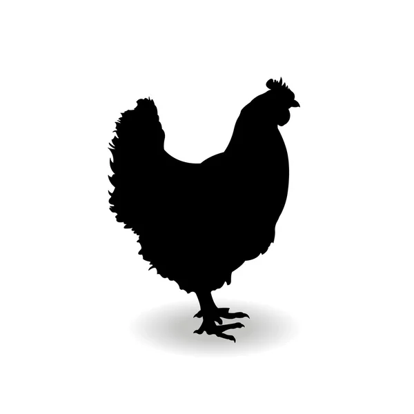 Форма контурной курицы — стоковый вектор