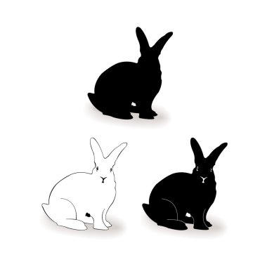 Form kontur tavşan, tavşan vektör
