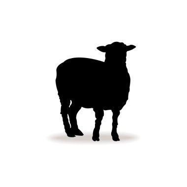 Form contour sheep, lamb clipart