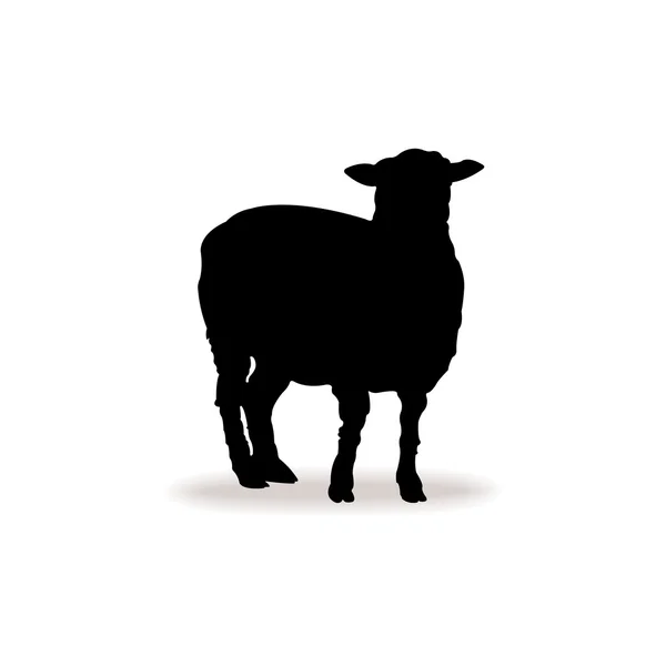 Form kontur koyun, kuzu — Stok Vektör