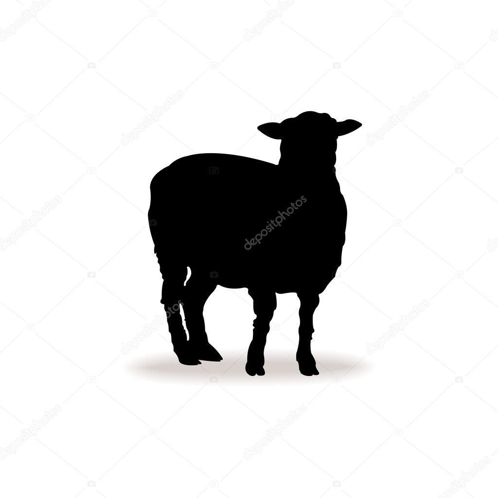 Form contour sheep, lamb