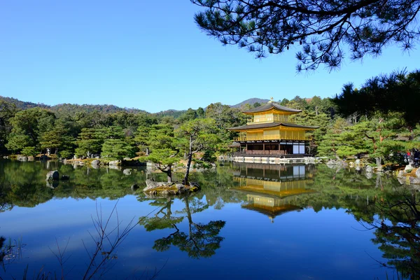 Kyoto, Japonya 'daki Kinkakuji Tapınağı (Altın Pavyon)