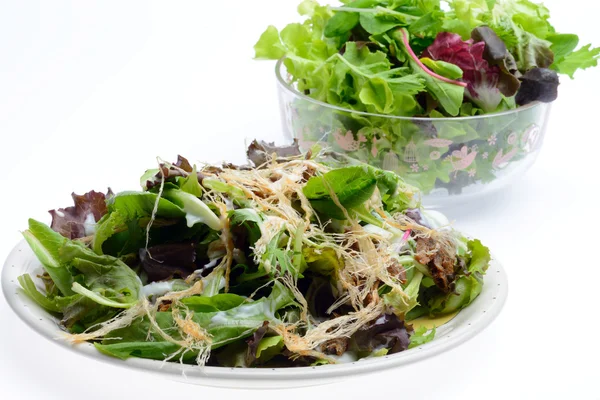 Ensalada de verduras frescas aisladas en blanco — Foto de Stock