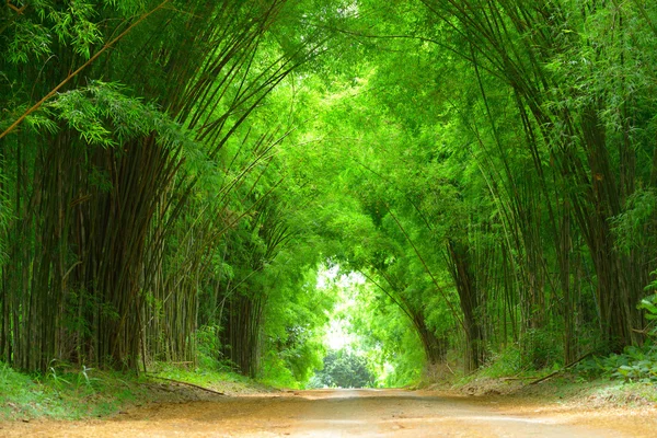 yüksek bambu kapak kil yol