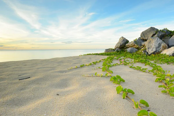 在海滩的风景 — 图库照片