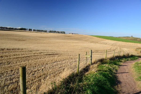 Ország út mellett a széna és a rét, mező. — Stock Fotó