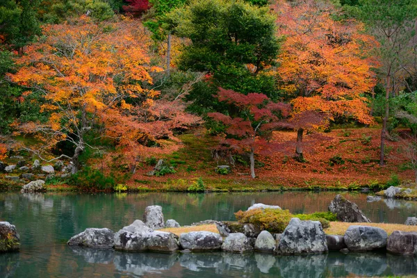 Colorful foliage in the autumn and japan style pond.