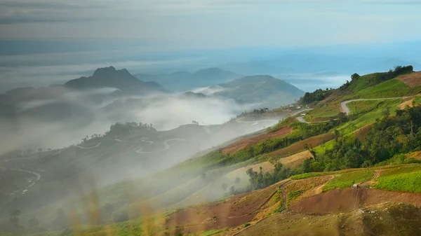 Vista da estrada da montanha e nevoeiro — Fotografia de Stock