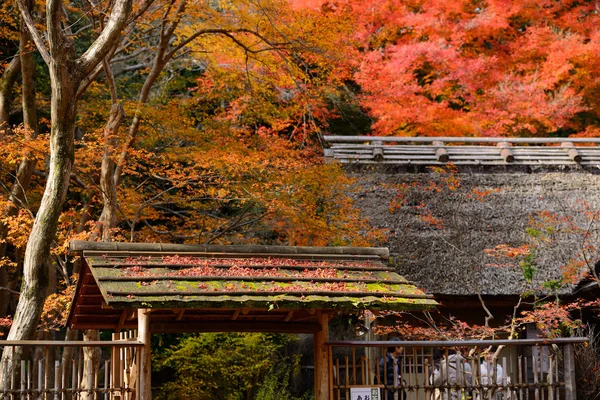 autumn maple leaves are on the japan style roof